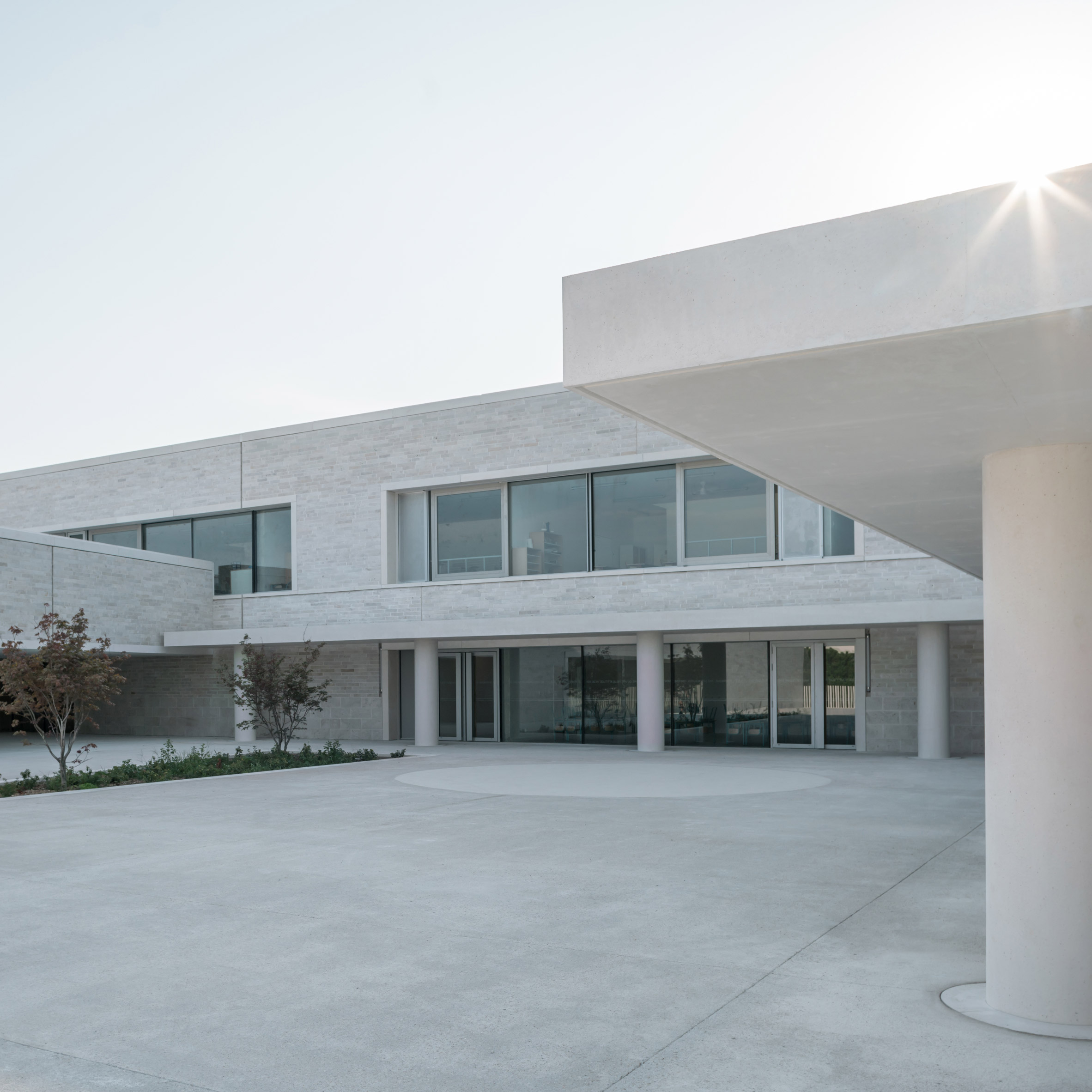 Cannes ，grey，Shi Huihua，school，