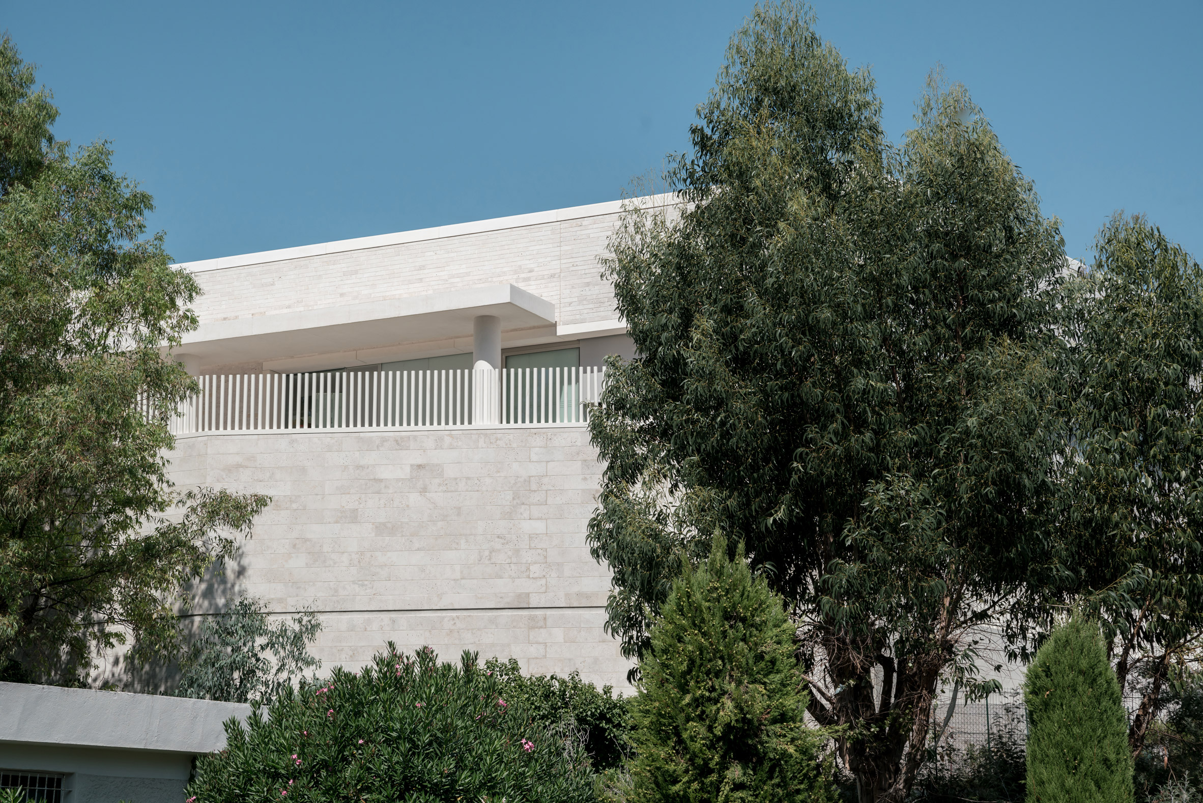 Cannes ，grey，Shi Huihua，school，