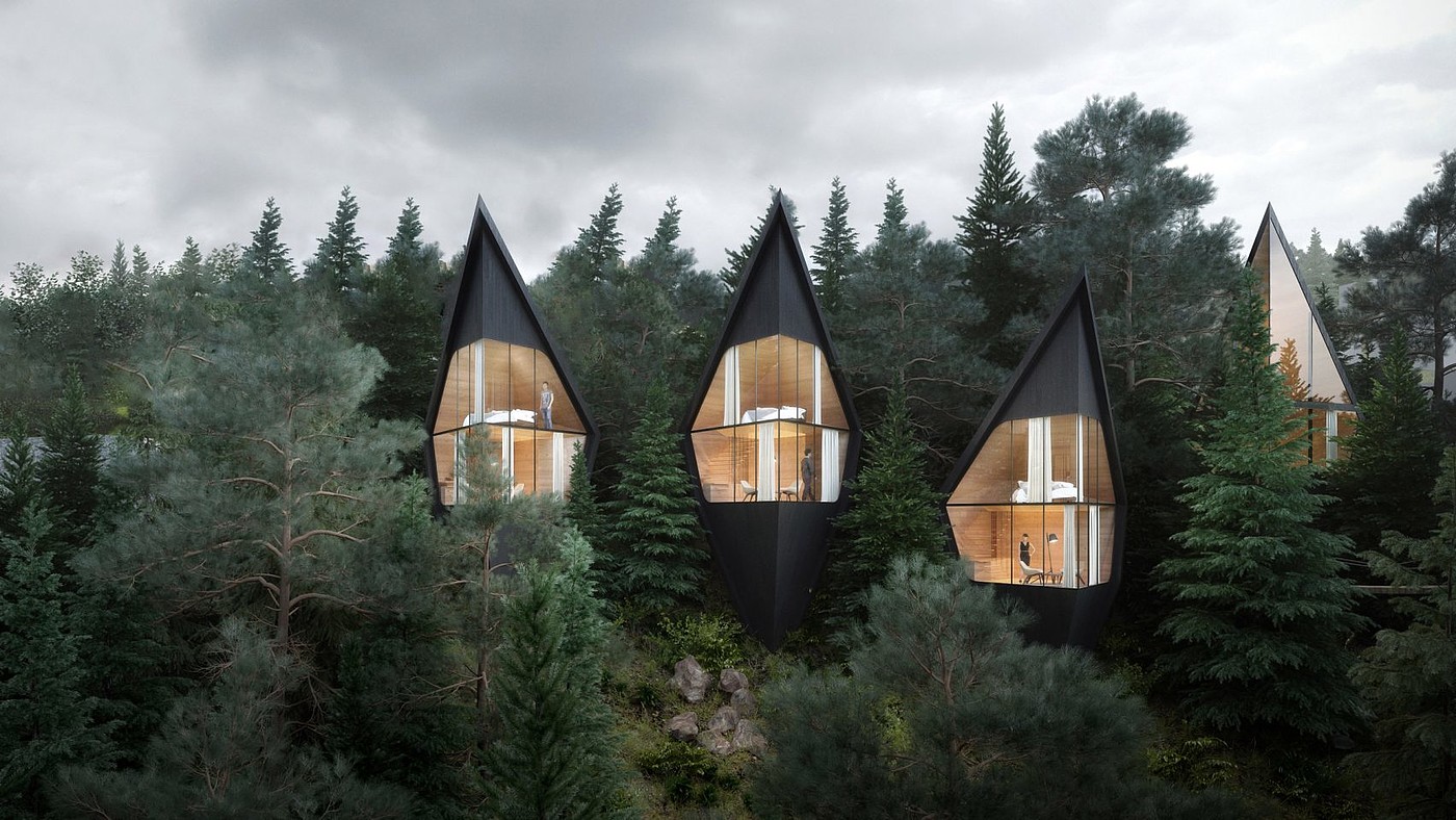 Tree House，get accommodation，black，hotel，Tree House，