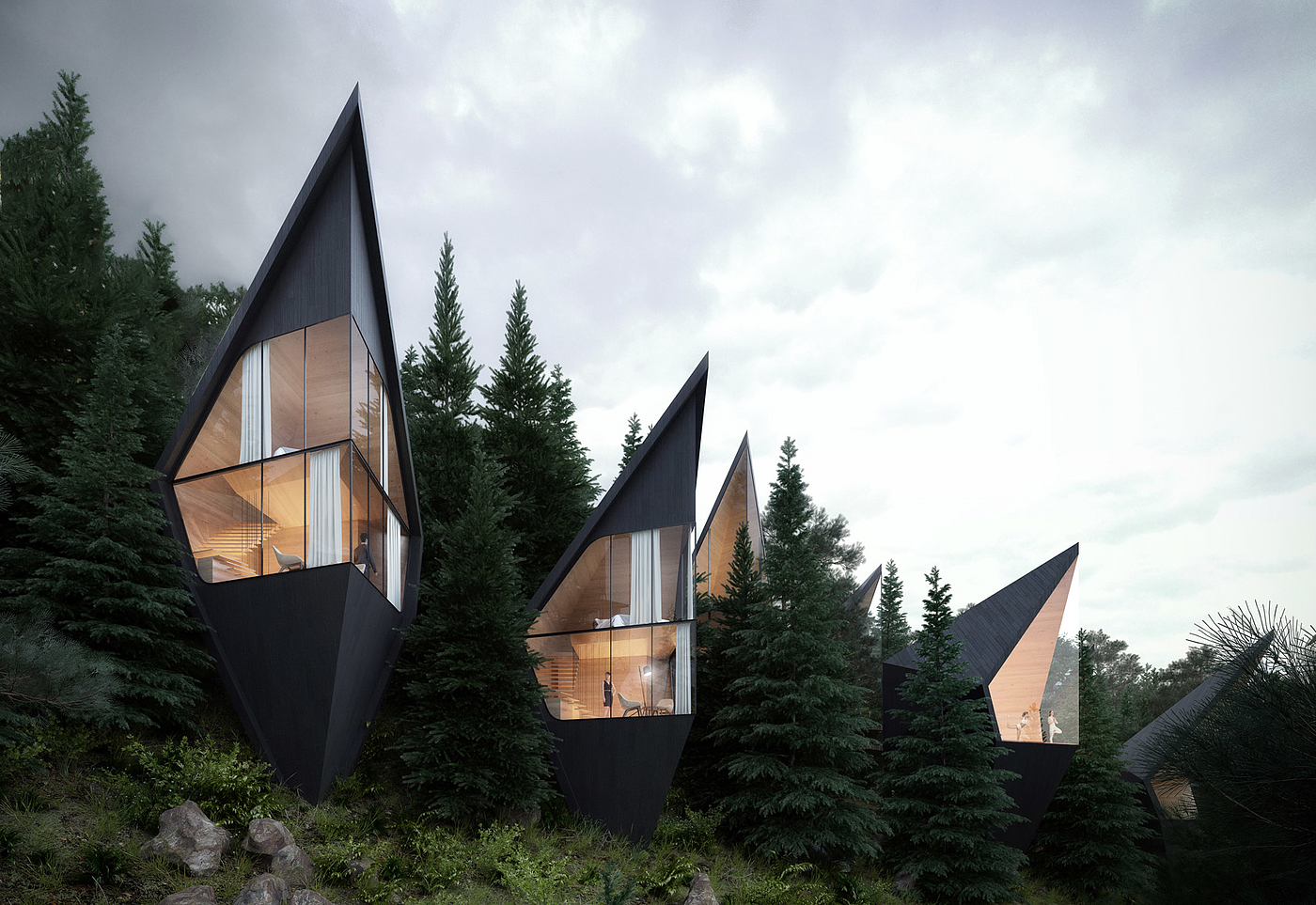 Tree House，get accommodation，black，hotel，Tree House，