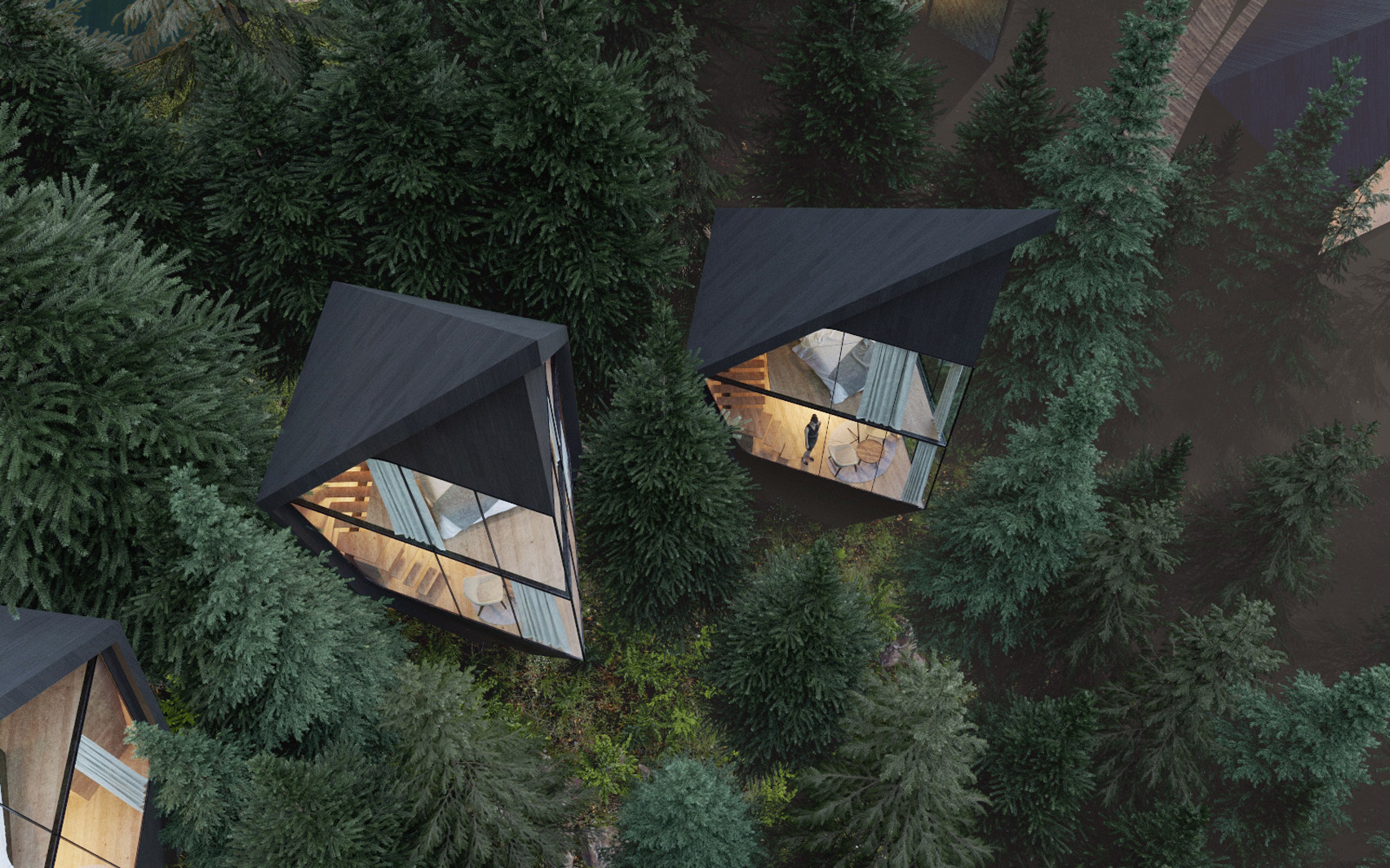 Tree House，get accommodation，black，hotel，Tree House，