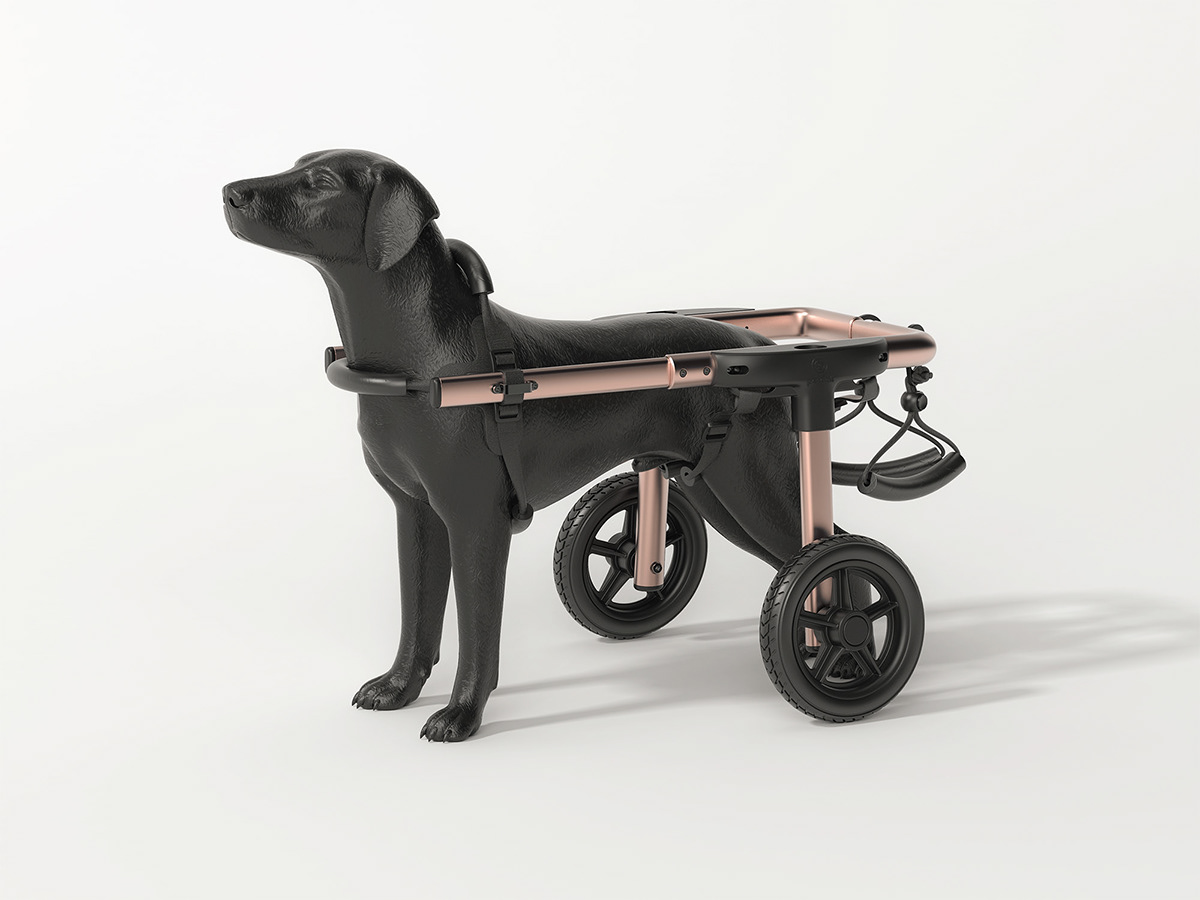 Pet Supplies & Pet，Medical equipment，Pet wheelchair，Petals，