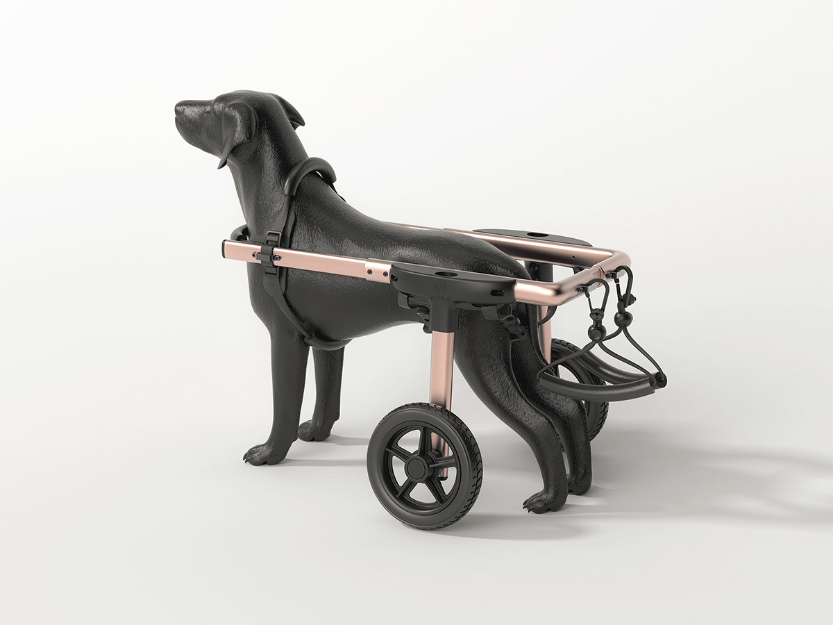 Pet Supplies & Pet，Medical equipment，Pet wheelchair，Petals，