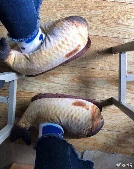 slipper，Maijiaxiu，Color changing ring，glove，Mobile phone shell，