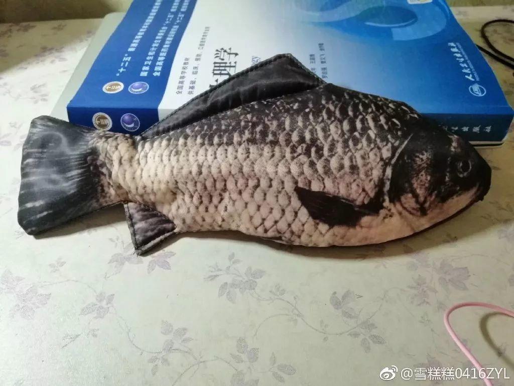 slipper，Maijiaxiu，Color changing ring，glove，Mobile phone shell，