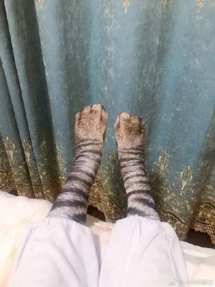 slipper，Maijiaxiu，Color changing ring，glove，Mobile phone shell，