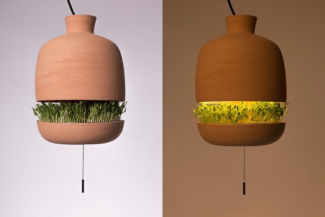 Brot，lamp，Flowerpot，Lighting tools，Potting tools，