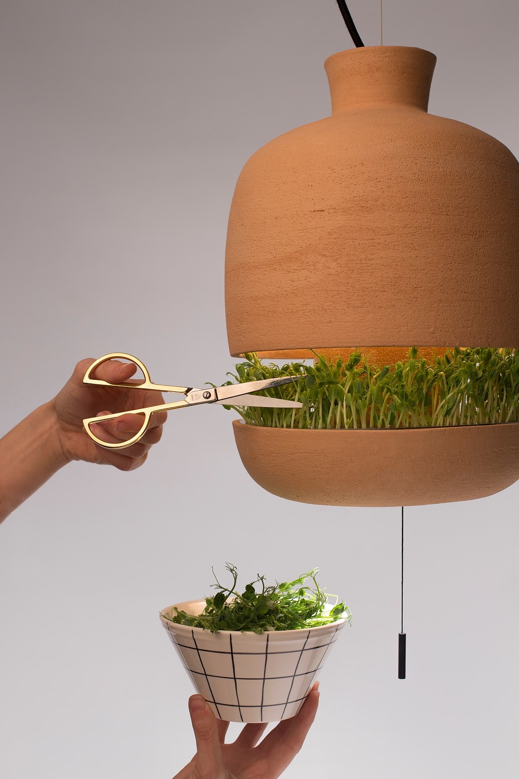 Brot，lamp，Flowerpot，Lighting tools，Potting tools，