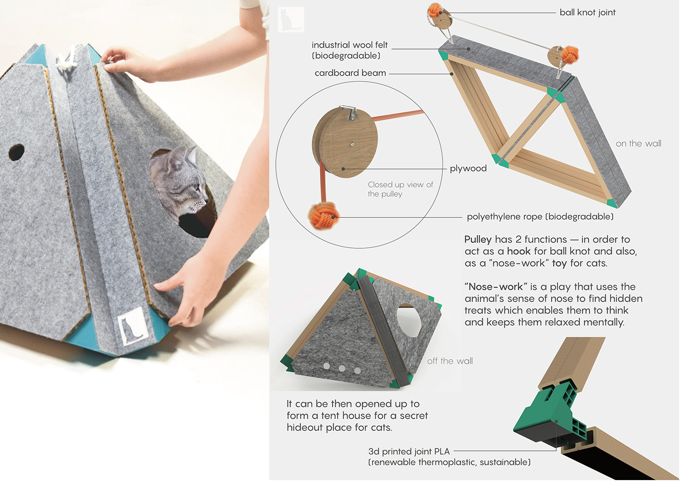 Soo Bin Cho，Pets，Cassle，Kitty，