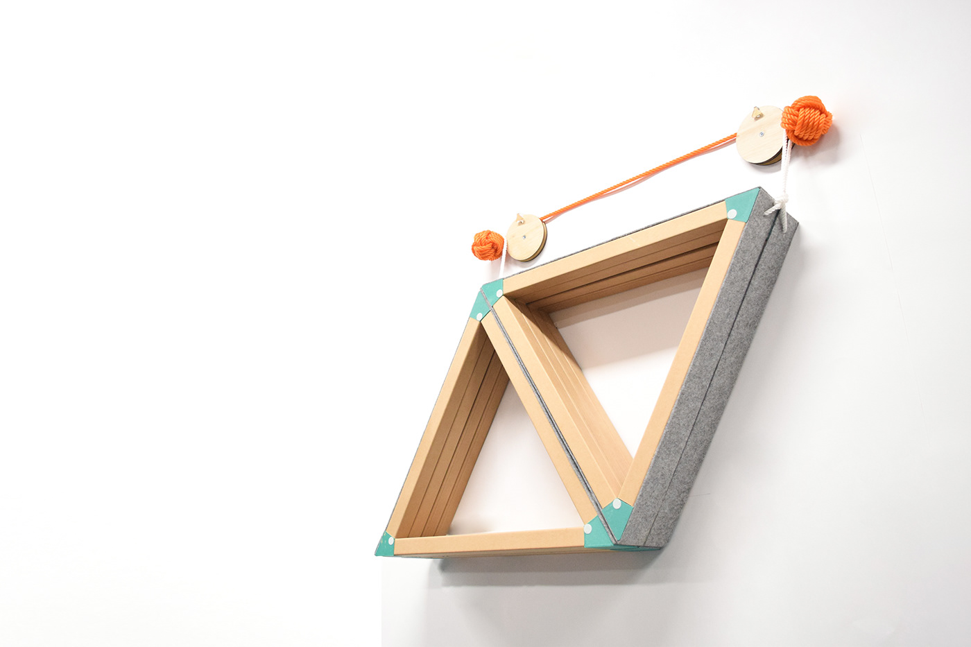 Soo Bin Cho，Pets，Cassle，Kitty，