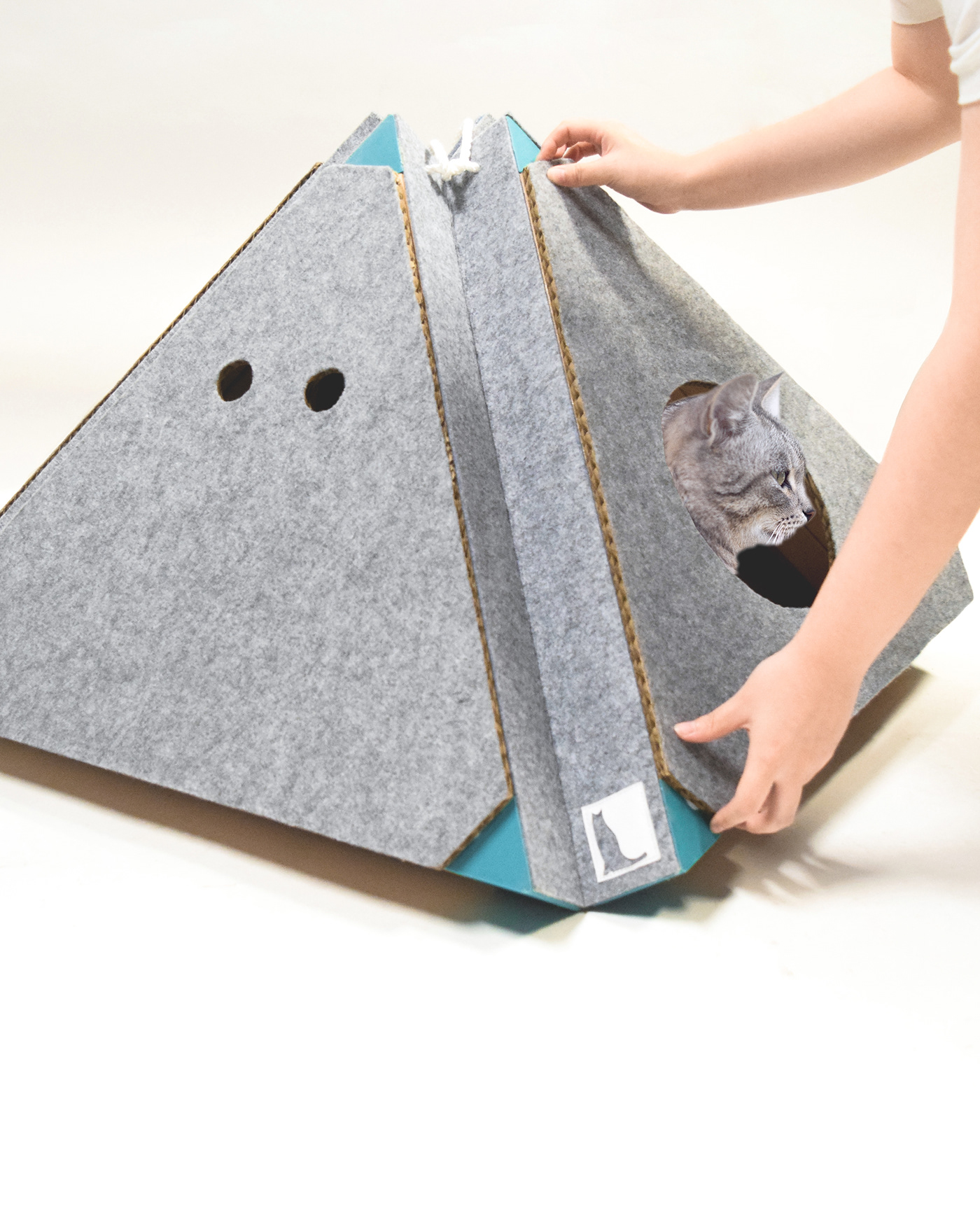 Soo Bin Cho，Pets，Cassle，Kitty，