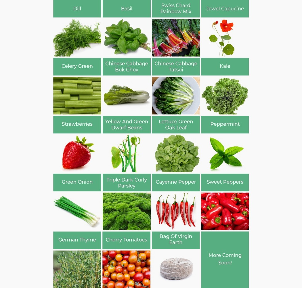 product design，Potting system，Indoor gardening system，OGarden，