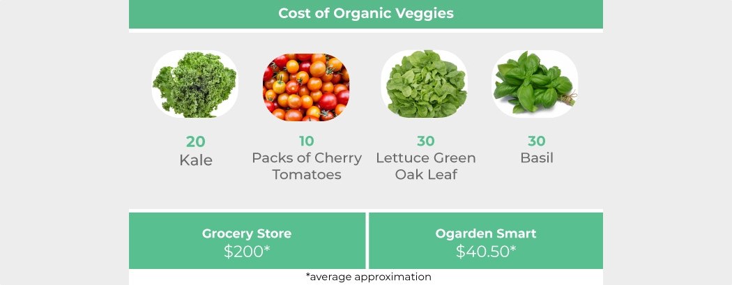 product design，Potting system，Indoor gardening system，OGarden，