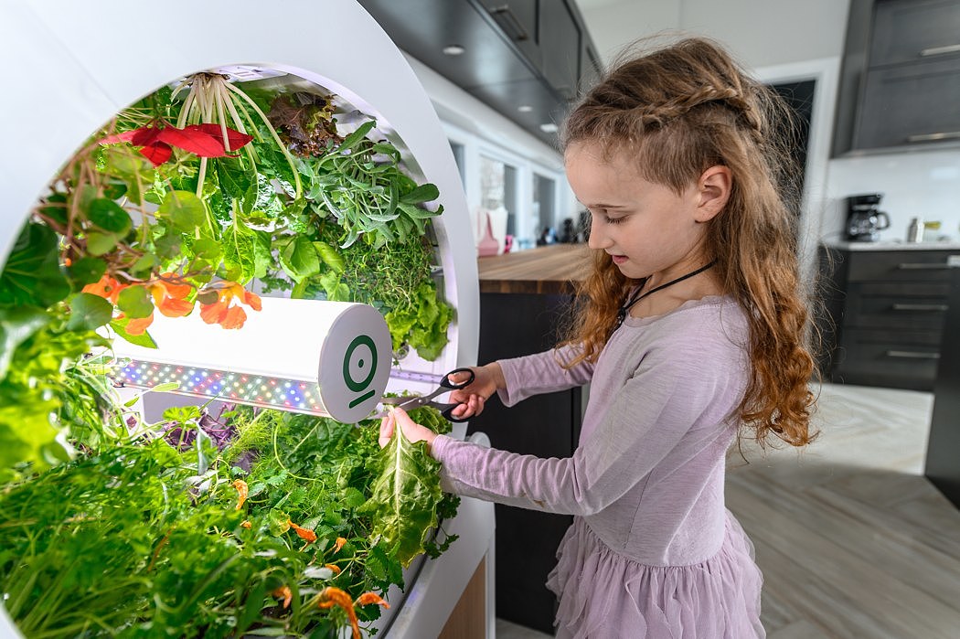 product design，Potting system，Indoor gardening system，OGarden，