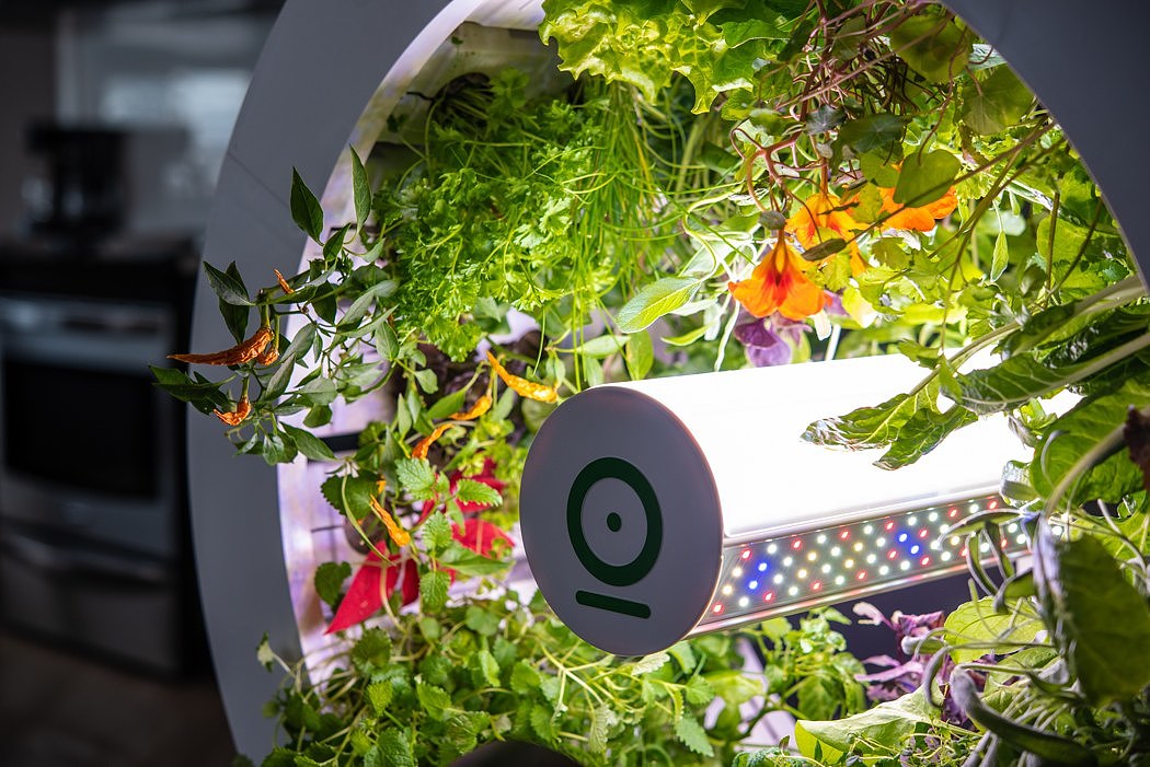 product design，Potting system，Indoor gardening system，OGarden，