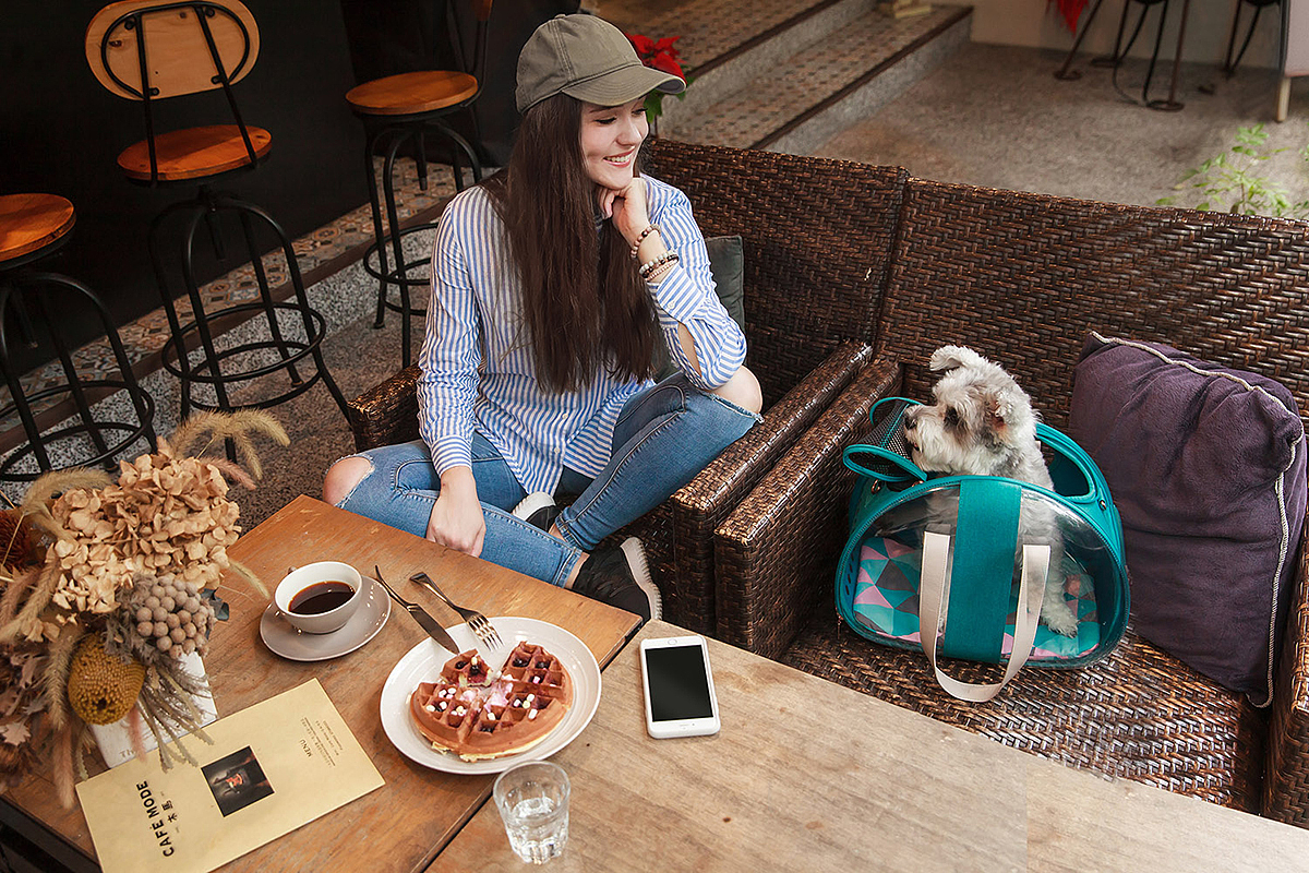 whynot，Portable，pet knapsack ，PET CARRIER，