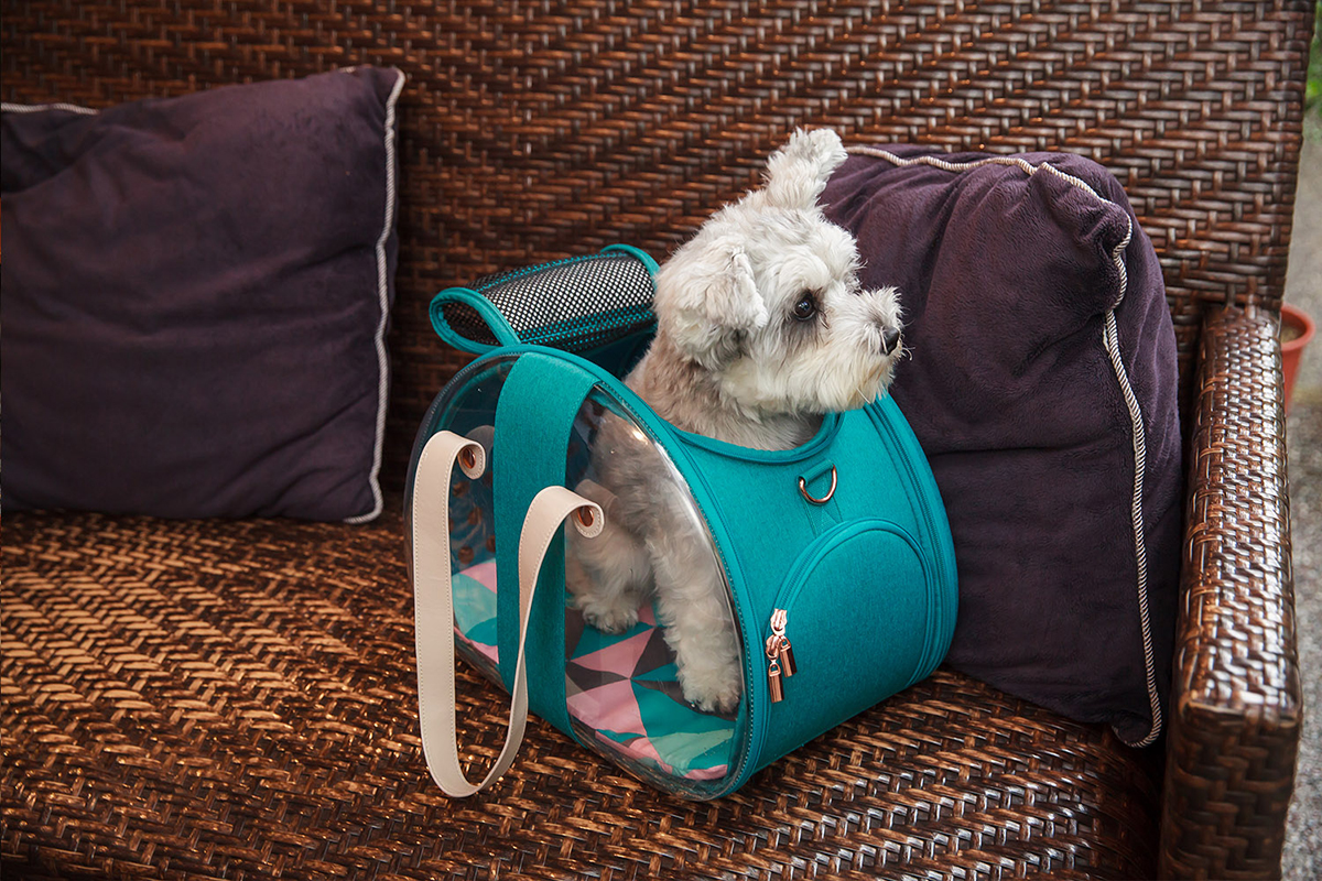 whynot，Portable，pet knapsack ，PET CARRIER，