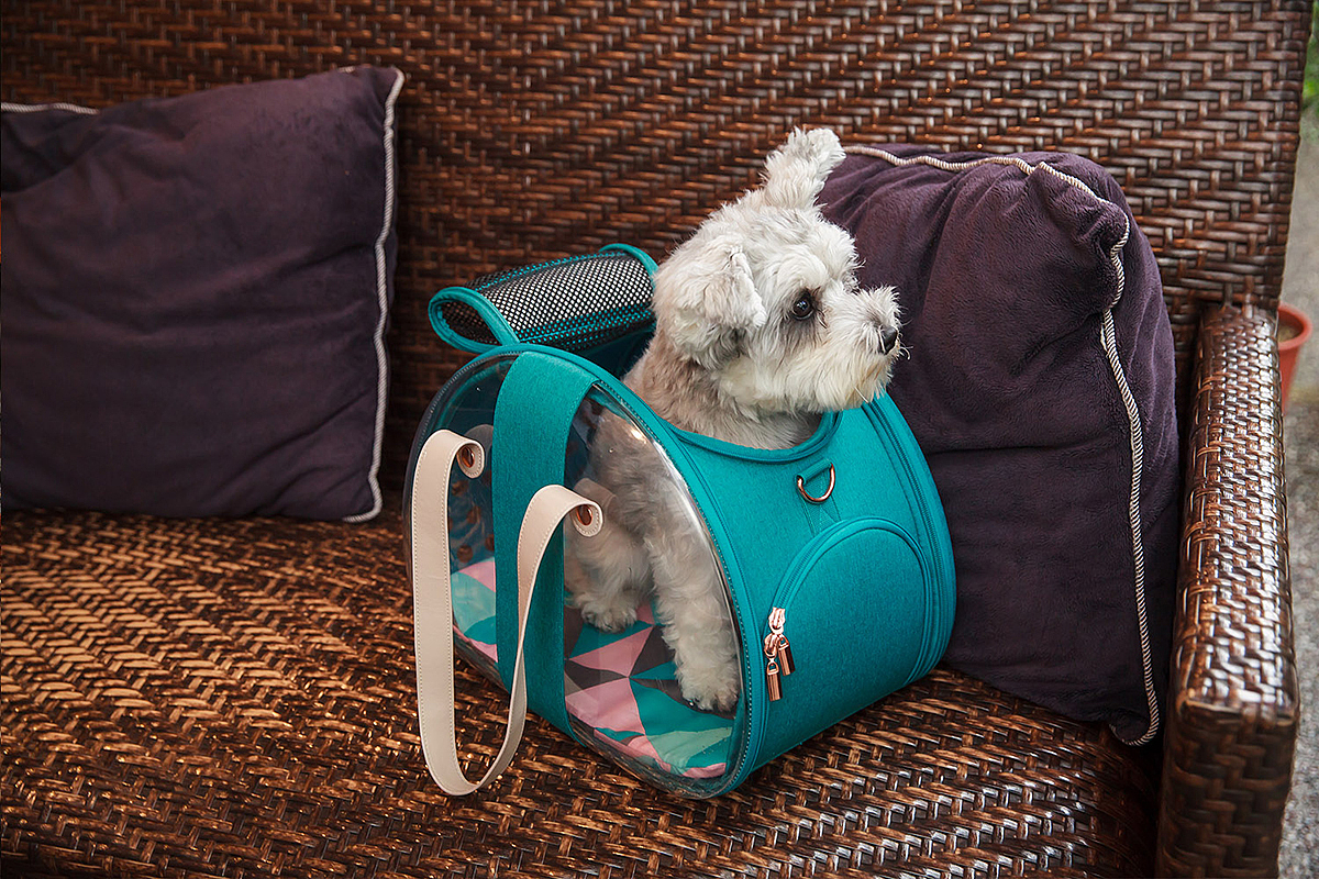 whynot，Portable，pet knapsack ，PET CARRIER，