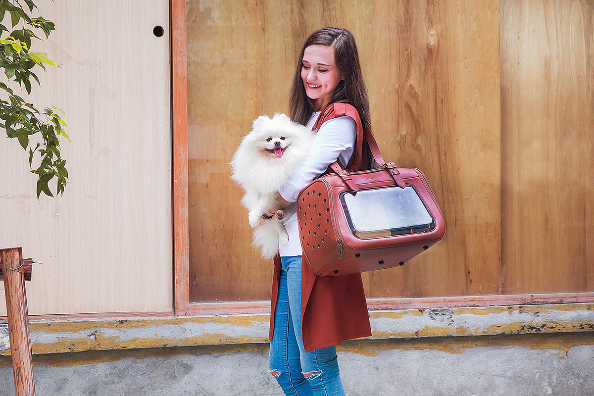 whynot，Portable，pet knapsack ，PET CARRIER，