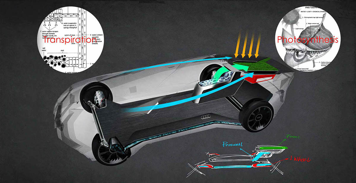 Automatic design，Sense of line，Simple and clean，Luxurious style，Sense of movement，