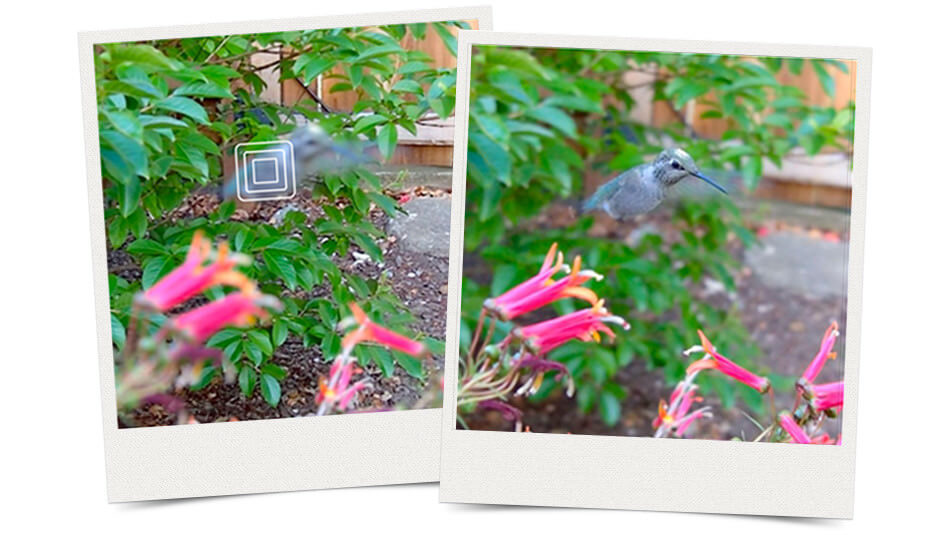 liter，camera，rectangle，