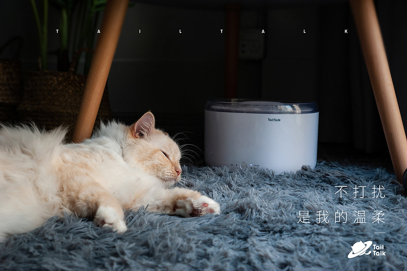 Asian Design Award，ASIA，Pets，Kitty，TailTalk，Rice Mak，Water dispenser，