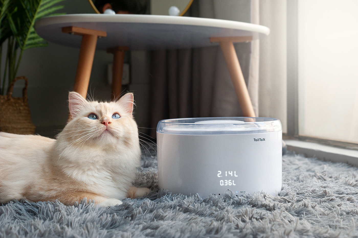 Asian Design Award，ASIA，Pets，Kitty，TailTalk，Rice Mak，Water dispenser，