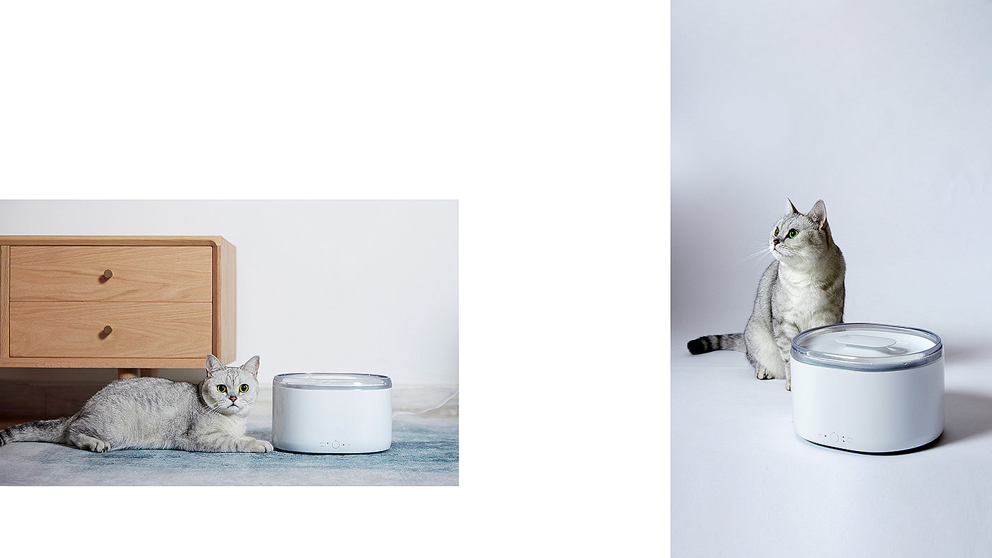 Asian Design Award，ASIA，Pets，Kitty，TailTalk，Rice Mak，Water dispenser，