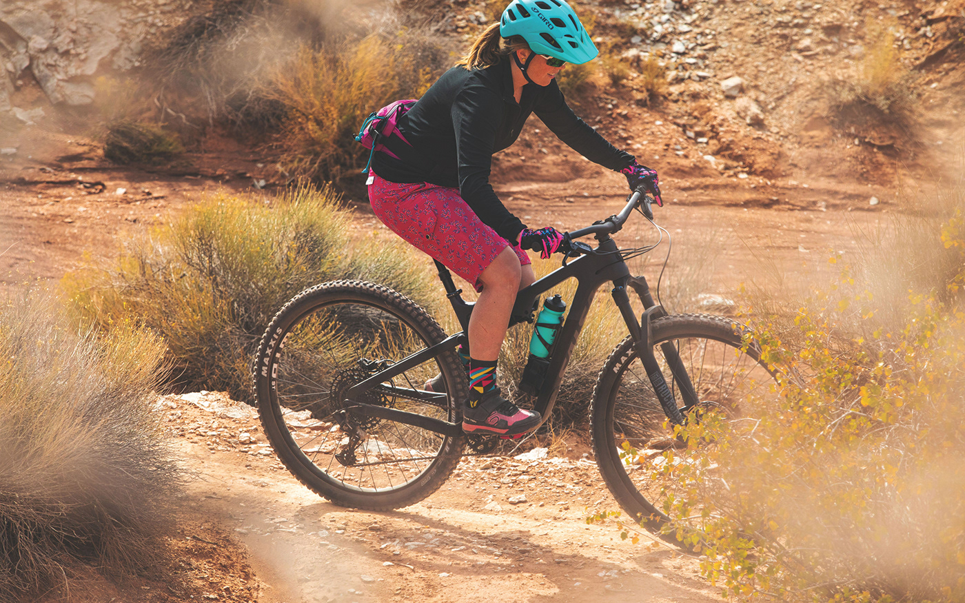 HORSETHIEF，Salsa Cycles，vehicle，Bicycle，