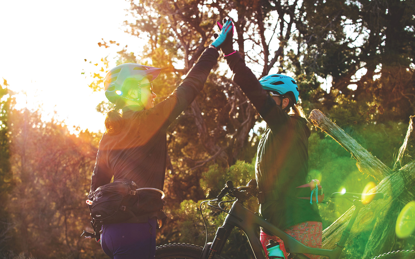 HORSETHIEF，Salsa Cycles，vehicle，Bicycle，