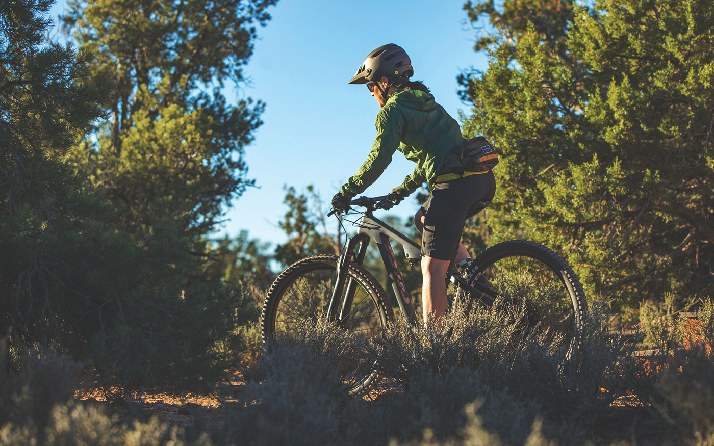 HORSETHIEF，Salsa Cycles，vehicle，Bicycle，