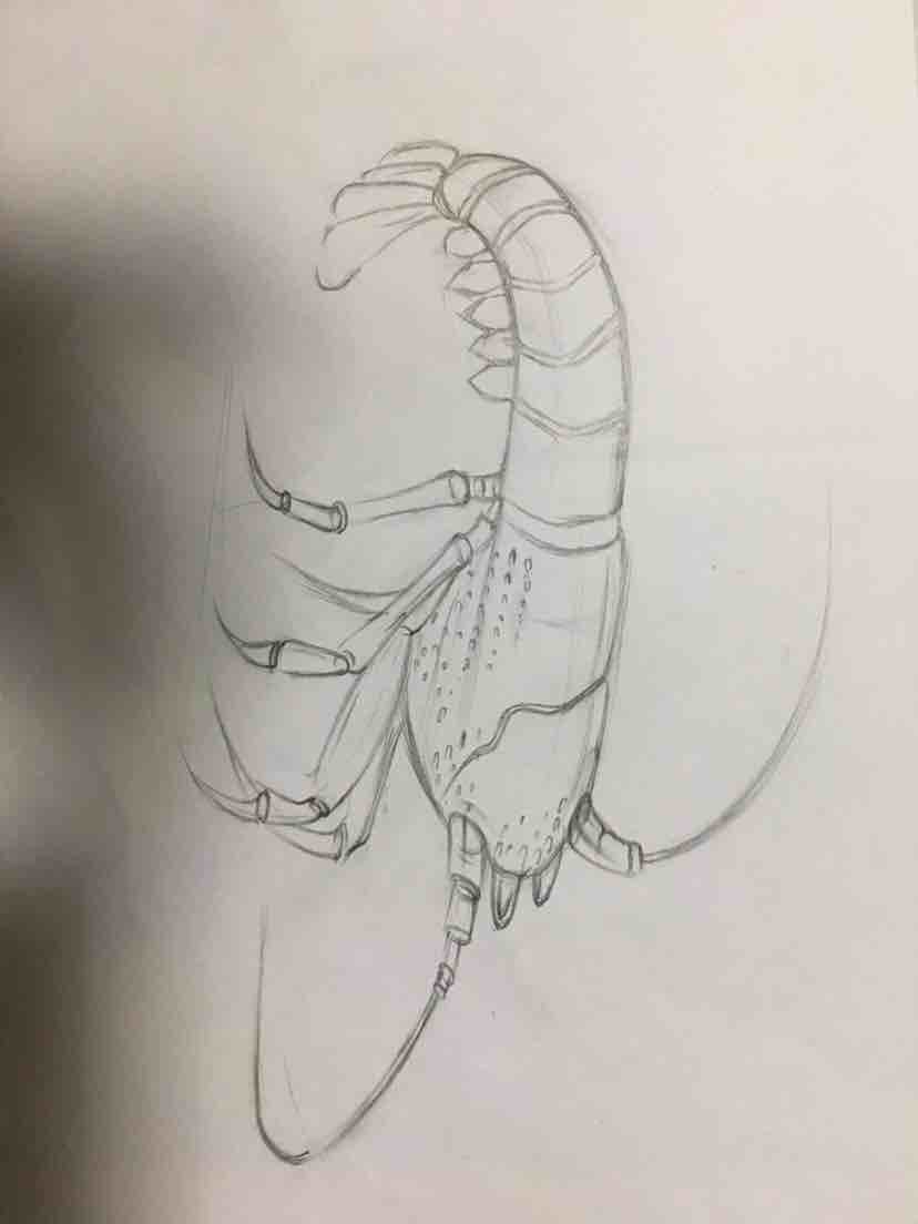 If the accumulation of wind is not thick, its negative wing is weak，