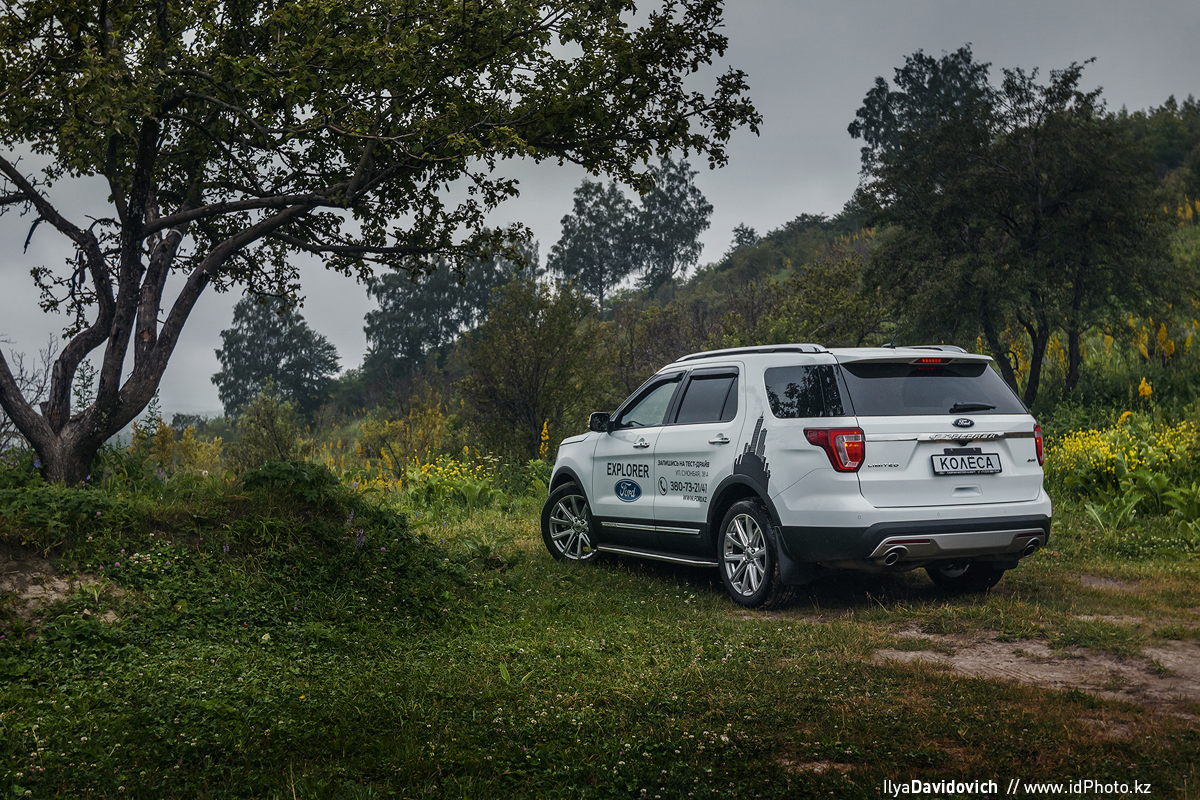 Ilya Davidovich，automobile，white，Ford，ford，
