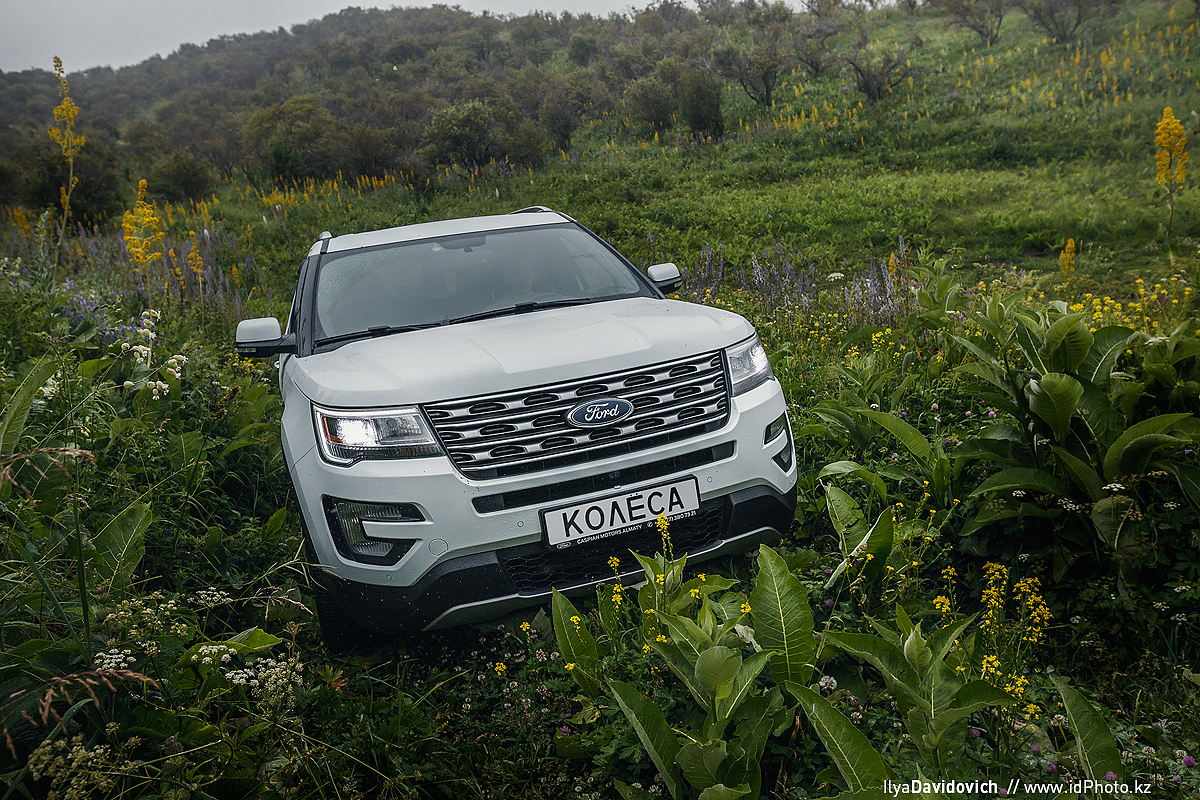 Ilya Davidovich，automobile，white，Ford，ford，