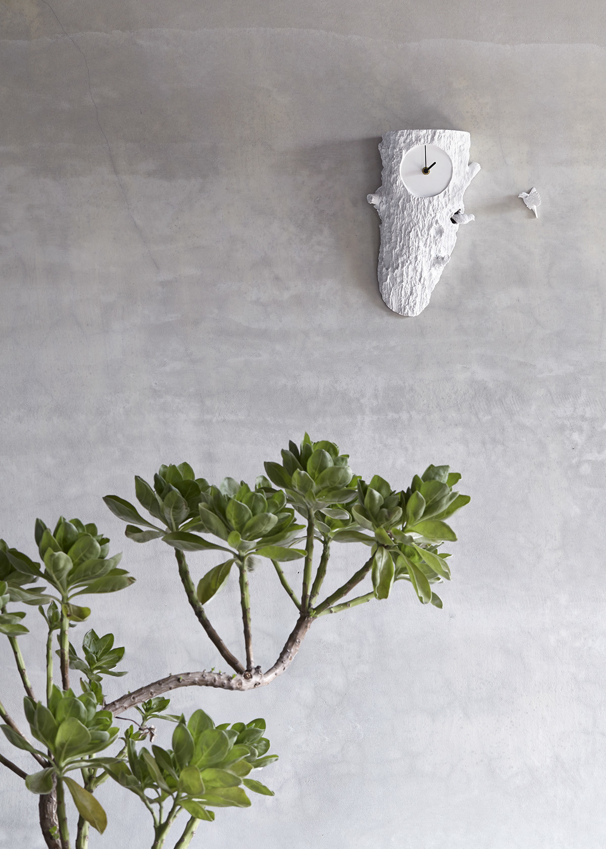 alarm clock，clock，Wall clock，Creative clock，Cuckoo clock ，