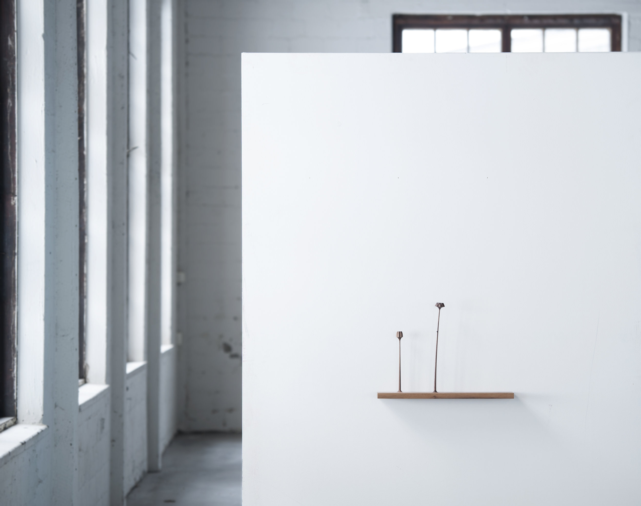 Ornaments，flowers and plants，Home accessories，HORSE，