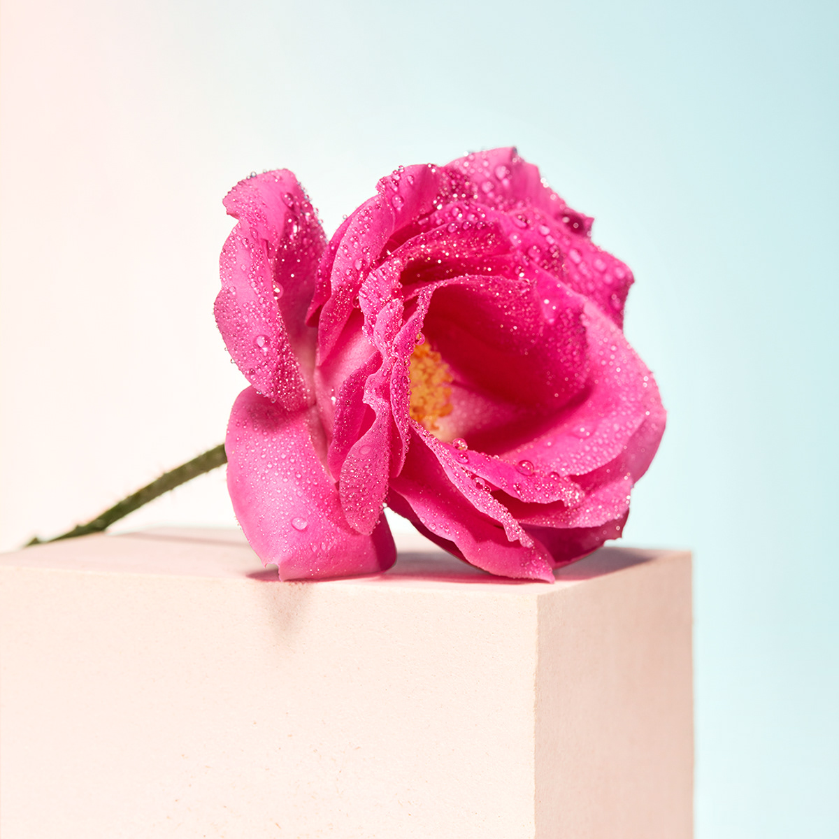 product design，Cosmetics，Perfume，Guerlain，