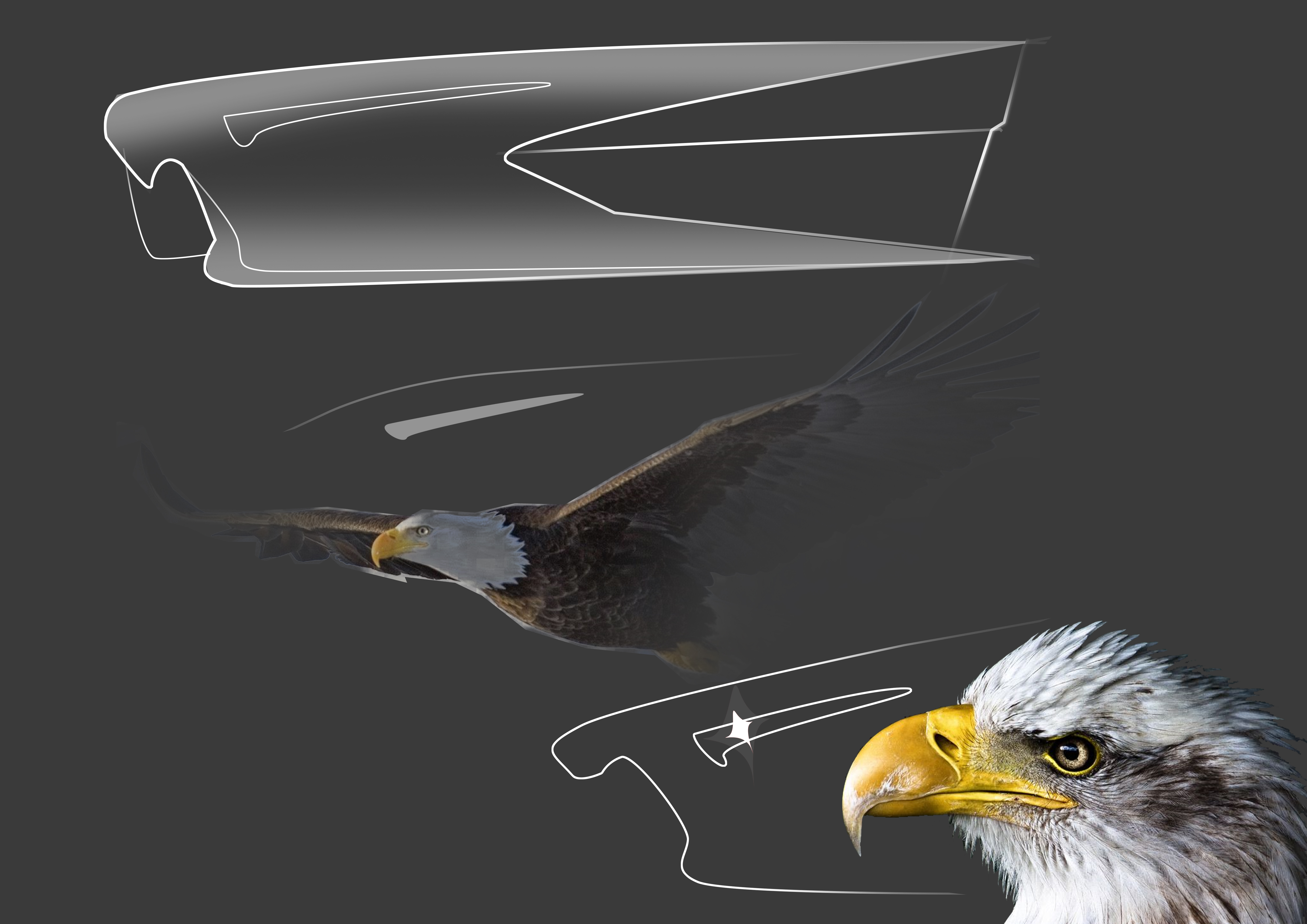 UAV，product，Industry，motion，