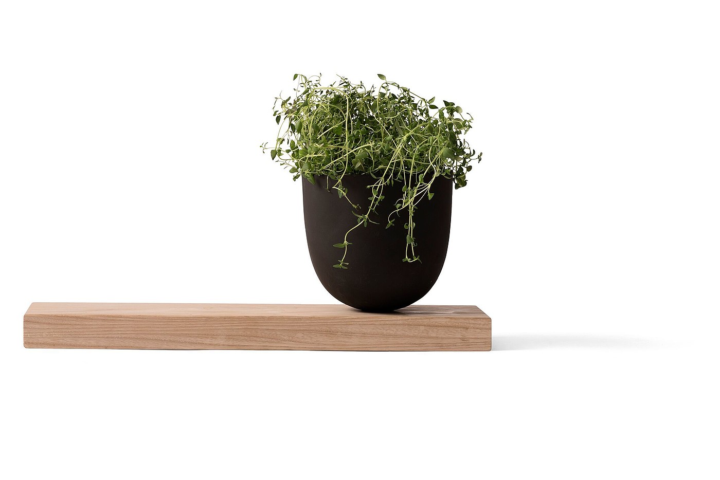 fashion，Simplicity，Vegetable Bowl，Kitchen supplies，originality，
