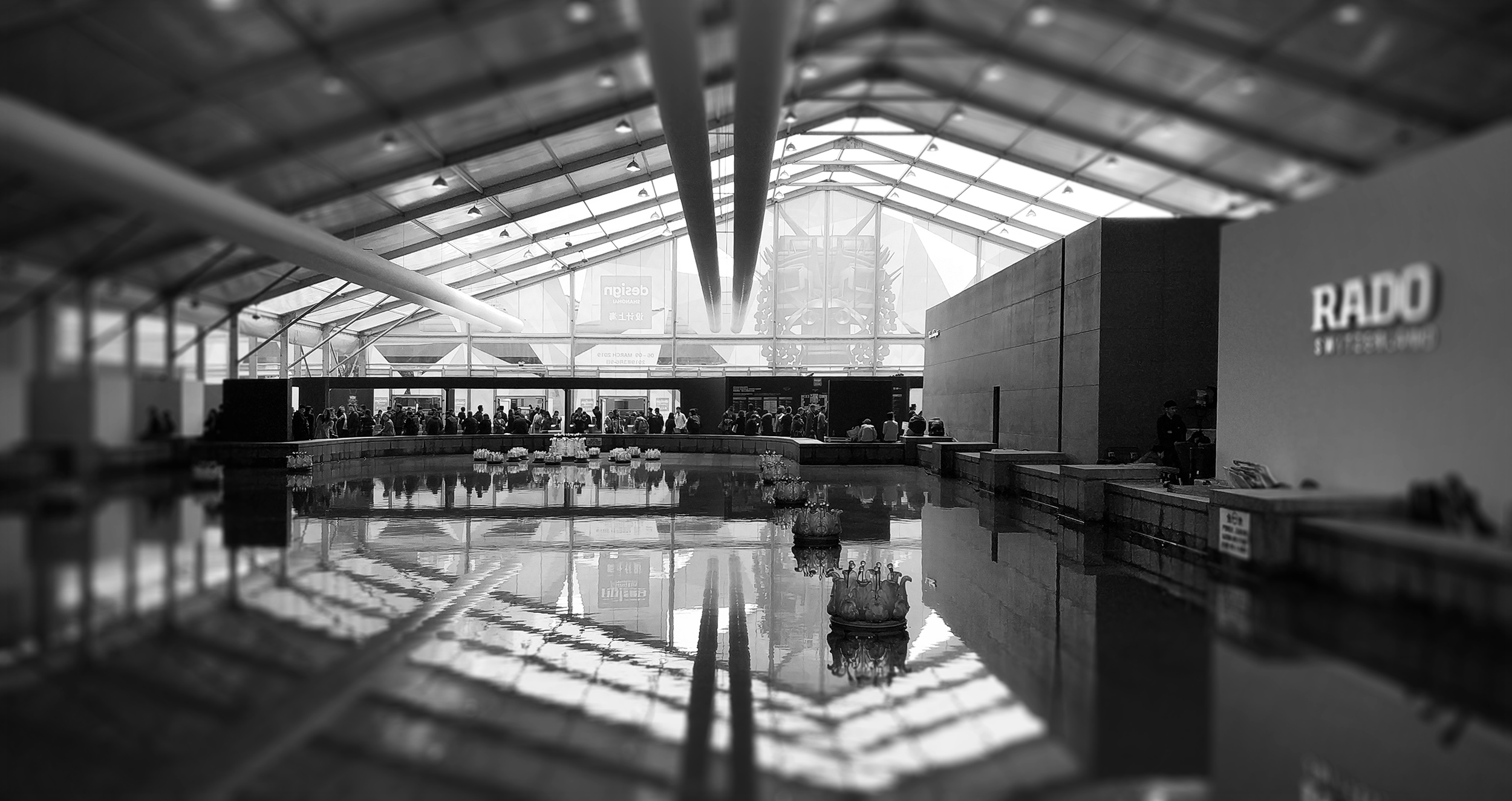 Scratch your head, Aggie，Design Exhibition，article，