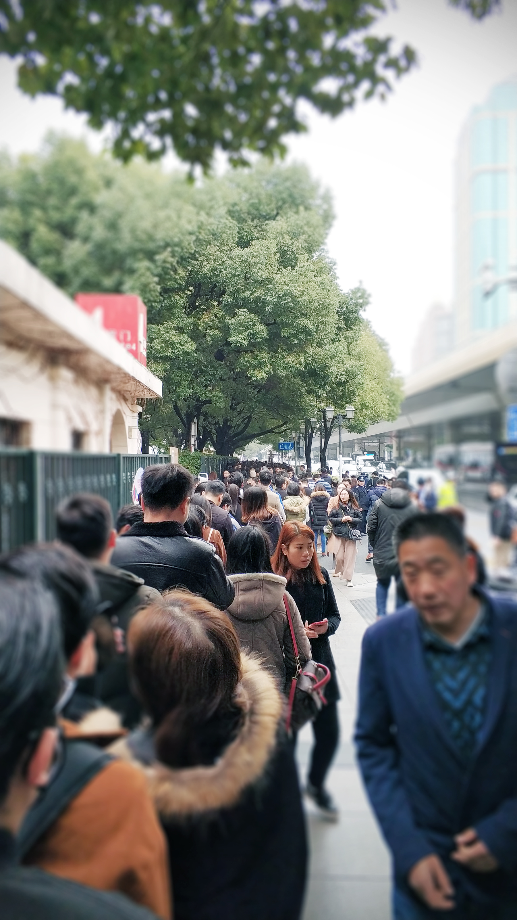 Scratch your head, Aggie，Design Exhibition，article，