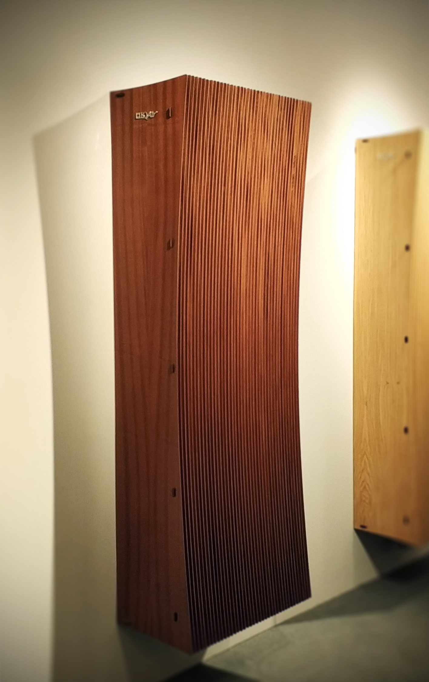 Scratch your head, Aggie，Design Exhibition，article，