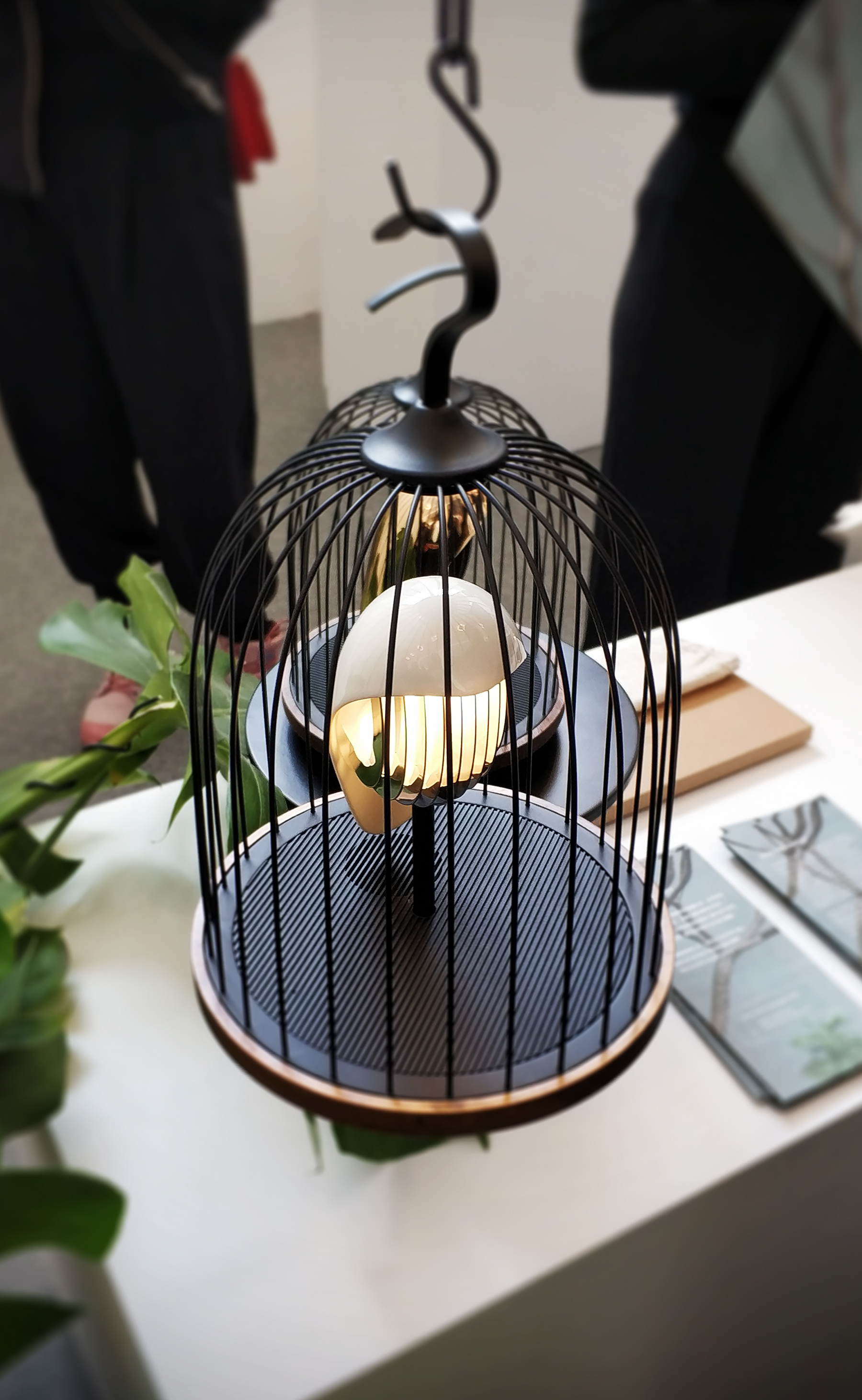 Scratch your head, Aggie，Design Exhibition，article，