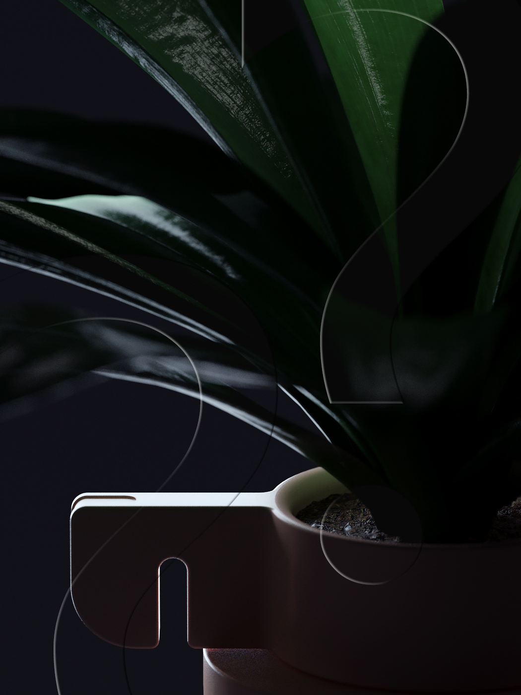 Scratch your head, Aggie，Design Exhibition，article，