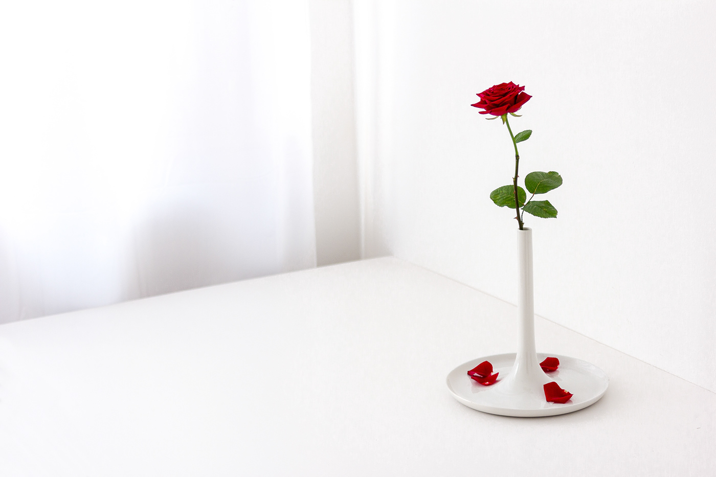 grace，white，ceramics，vase，