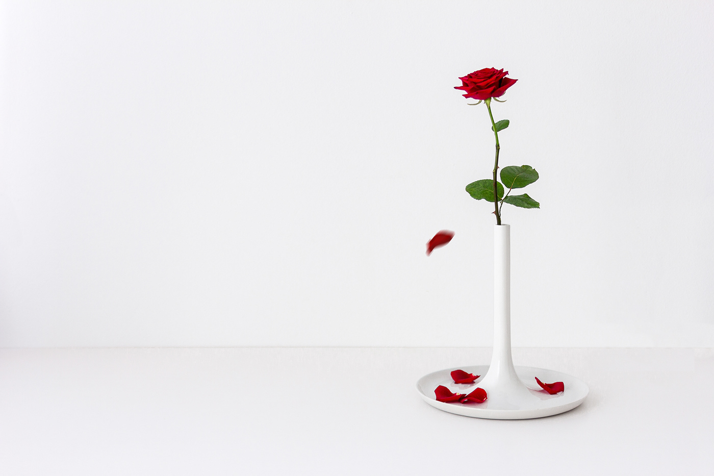 grace，white，ceramics，vase，