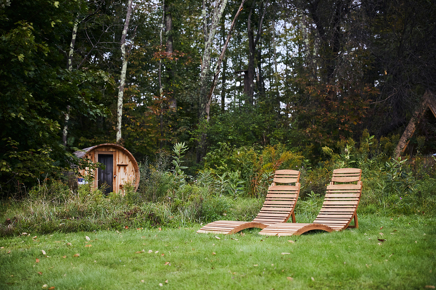 bar，hotel，hut，Catskill Mountains ，