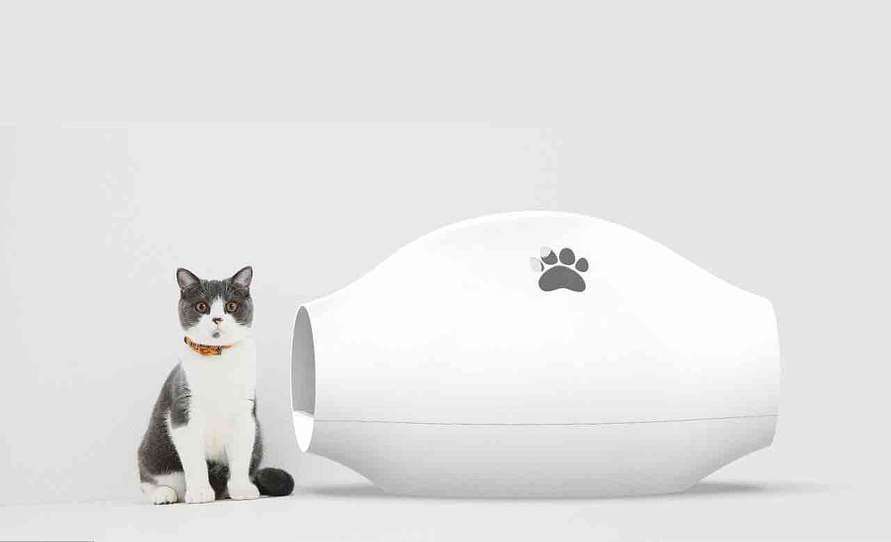 Cat Toilet，