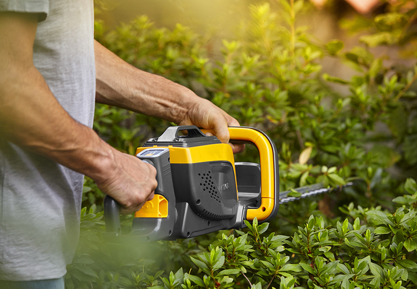 Bush，trim，Hedge Trimme，