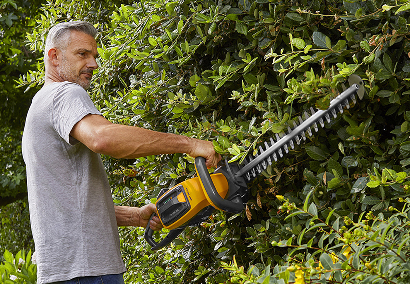 Bush，trim，Hedge Trimme，